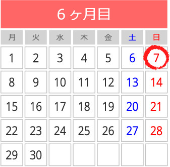 6ヶ月目