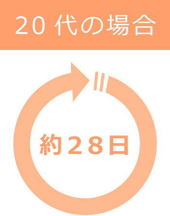 20代の場合…約28日