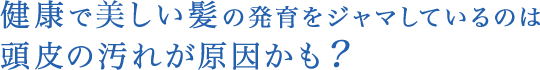 健康で美しい髪の発育をジャマしているのは頭皮の汚れが原因かも？