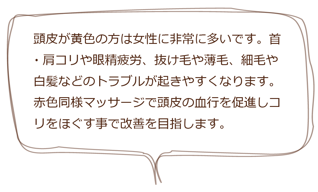 頭皮が黄色の方は女性に非常に多いです。首・肩コリや眼精疲労、抜け毛や薄毛、細毛や白髪などのトラブルが起きやすくなります。赤色同様マッサージで頭皮の血行を促進し、コリをほぐす事で改善を目指します。