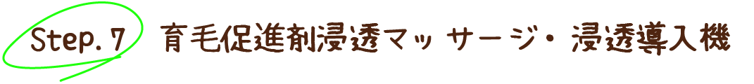 Step7 育毛促進剤浸透マッサージ・浸透導入機