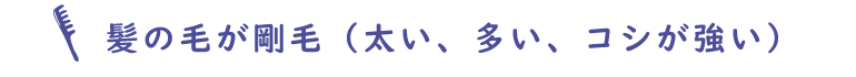 髪の毛が剛毛（太い、多い、コシが強い）