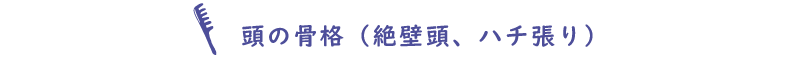 頭の骨格（絶壁頭、ハチ張り）