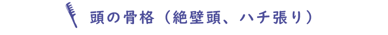 頭の骨格（絶壁頭、ハチ張り）