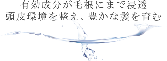 有効成分が毛根にまで浸透。頭皮環境を整え、豊かな髪を育む