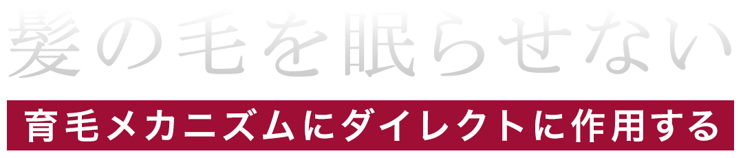 髪の毛を眠らせない。育毛メカニズムにダイレクトに作用する