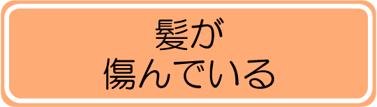 髪が傷んでいる