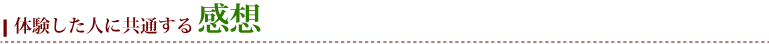 体験した人に共通する感想