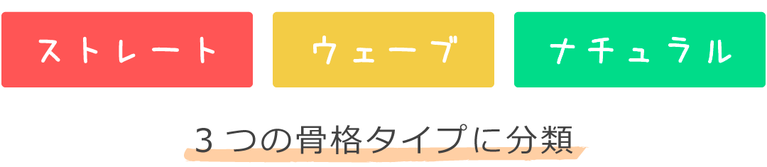 ストレート・ウェーブ・ナチュラル　3つの骨格タイプに分類