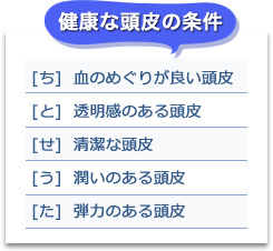 健康な頭皮の条件