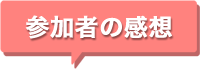 参加者の感想