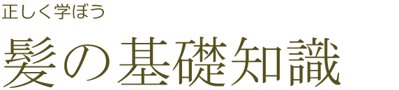 正しく学ぼう髪の基礎知識　ヘアケア講座