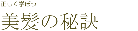 正しく学ぼう美髪の秘訣　ヘアケア講座