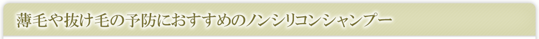 薄毛や抜け毛の予防におすすめのノンシリコンシャンプー