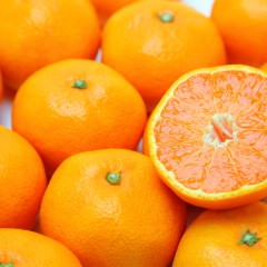 頭皮のニオイを消す効果的な方法は？まずは原因を知る事が大切です！