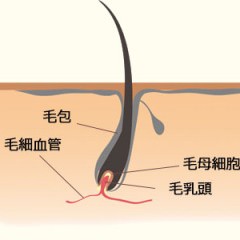 健康な髪の水分保有率はどのくらい？