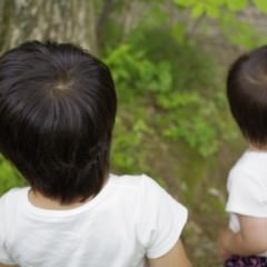 美髪を目指す方は必見！美しい髪を育むために必要な栄養素とは？