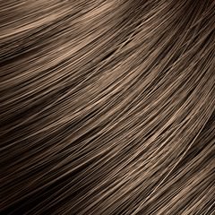 髪の毛（毛幹部）の構造