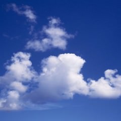 くせ毛を改善するには縮毛矯正しかない？