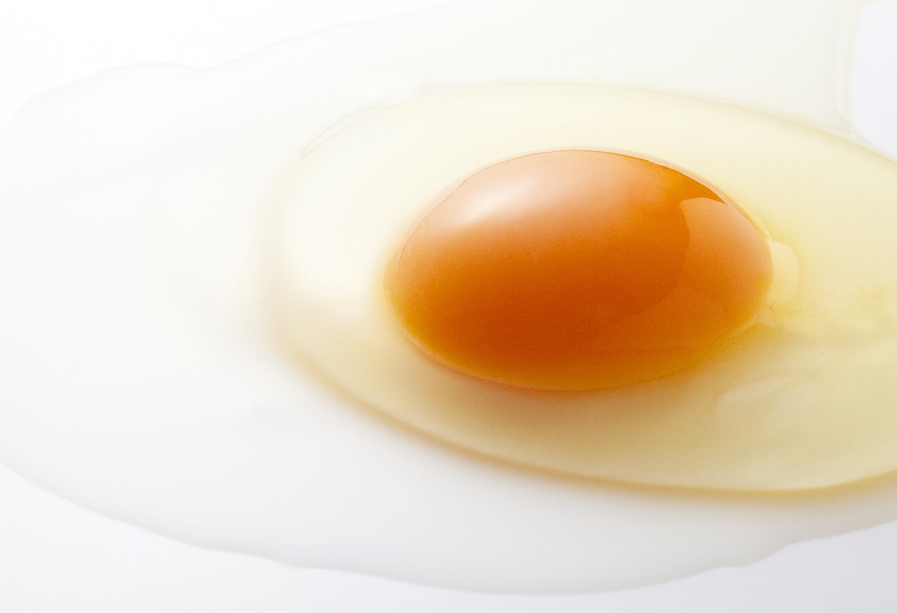 生卵がハゲを促進させる？