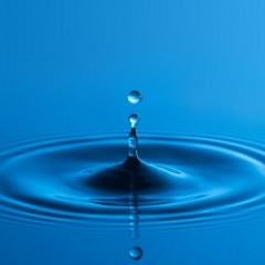 アボカドサラダでダイエットをしながら薄毛対策！