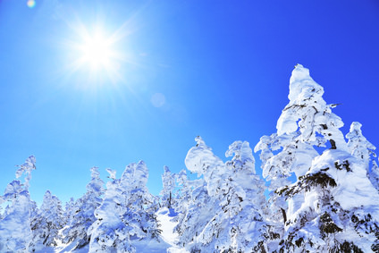 髪も日焼けをする！冬でも雪焼けに注意！！