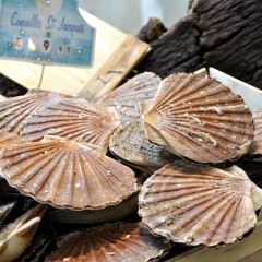 油物の摂り過ぎは髪に悪影響？