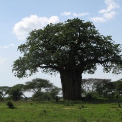 乾燥対策に効果◎オイルパックで頭皮ケア