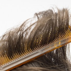 どんなくしを使うかによって髪質は変わる？