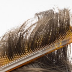 髪を綺麗に保つ正しいブラッシングの仕方
