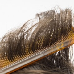 ヘアケア用の動物毛のブラシはスーツにも使える？