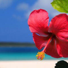 シャワーの水圧が育毛の妨げになることも・・・。
