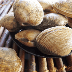 海藻は薄毛に効果があるの？