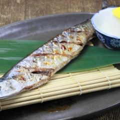 アロエシャンプーが育毛促進！