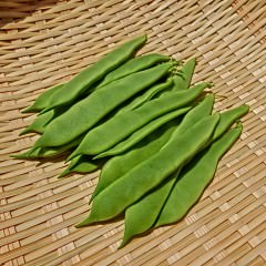 コンビニ弁当やレトルト食品は髪のために控えた方がいいの？