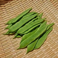 普段の食事に大根おろしを加えるだけでヘアケア出来るの？