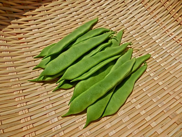 なた豆茶のヘアケア効果とは