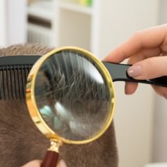 足湯は育毛に効果があるの？
