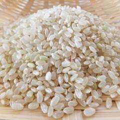 偏った食生活による白髪の原因