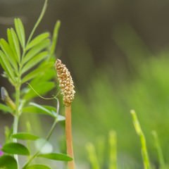 生理と髪質の関係