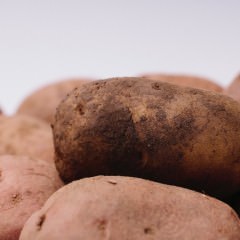 正しいトリートメント方法