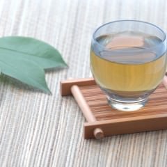 育毛剤はどれぐらいの期間で効果が出る？効果的な使い方もご紹介！