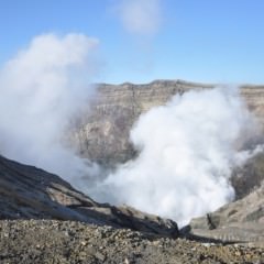 頭皮に熱がこもっていると薄毛の原因になるって本当？