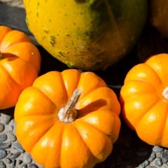 無理な食事制限は髪に悪影響！ダイエットにも髪にも良い食べ物とは