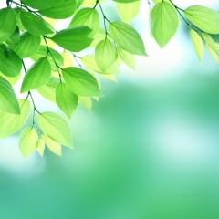 ゆで卵で育毛効果？