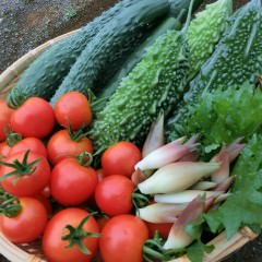 ヘアケア効果のある髪や頭皮に良い食べ物って？栄養素や効果を徹底解説