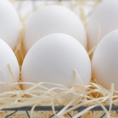頭皮のかゆみは「抜け毛」が始まる予兆？