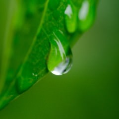ドライマウスで薄毛が進行？！