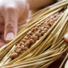 糖質制限のロカボ食で太く美しい髪に