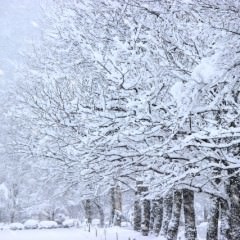 雪が与える髪への影響とは？雪対策をして美髪をキープ！